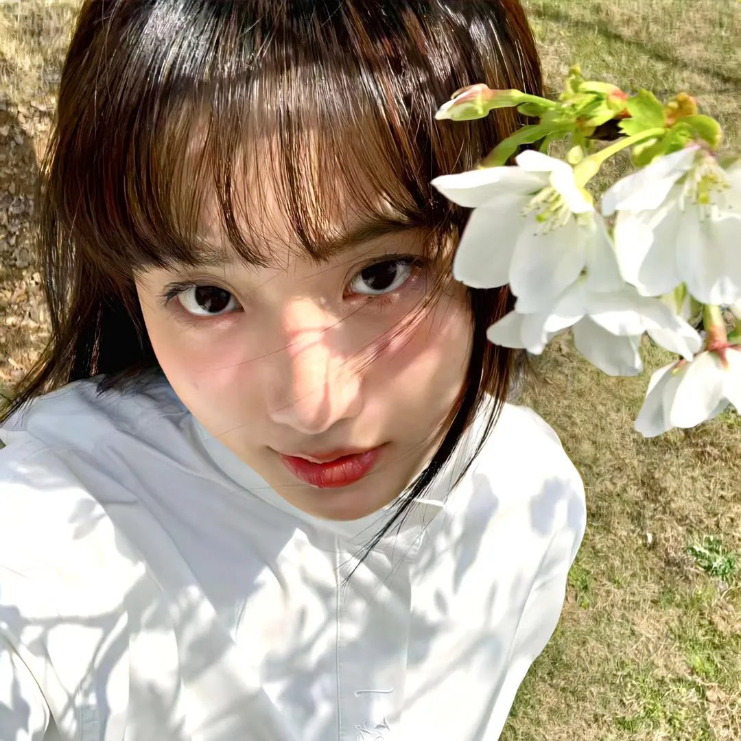 蓝色妖姬