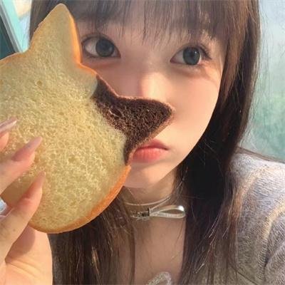 傀儡生涯